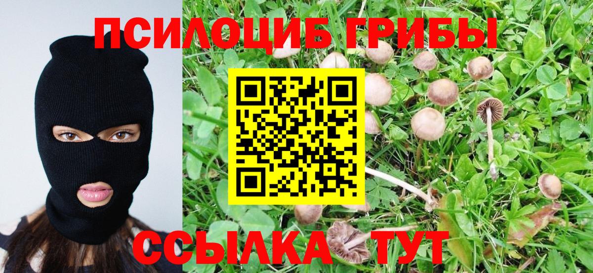 Калуга  Галлюциногенные грибы Psilocybine cubensis  Вход с VPN 