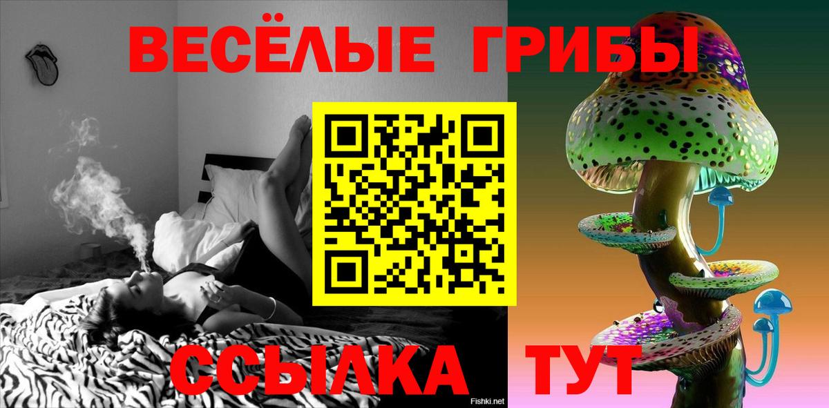 Псилоцибиновые грибы GOLDEN TEACHER Калуга